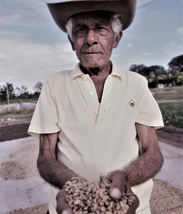 Cuba agricultura cooperazione