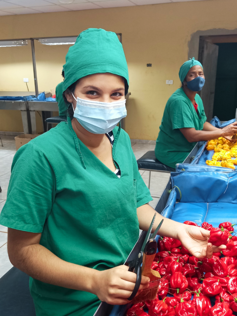 Yesenia, impiegata nella selezione e lavorazione di frutta e verdura presso l'azienda Dceballos de Ciego de Avila - Impresa beneficiaria del progetto "CUBAFRUTA - Rafforzamento delle catene di valore dell'ananas e dell'avocado a livello locale"
