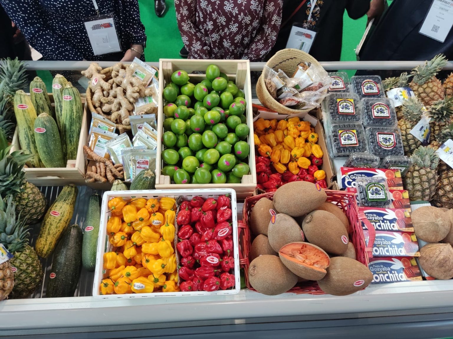 CUBA TORNA A MACFRUT: Anche quest’anno l’isola sarà presente alla fiera grazie alla collaborazione con AICS