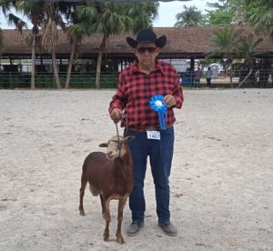 Miguel con el ejemplar ovino macho adulto Gran Campeon