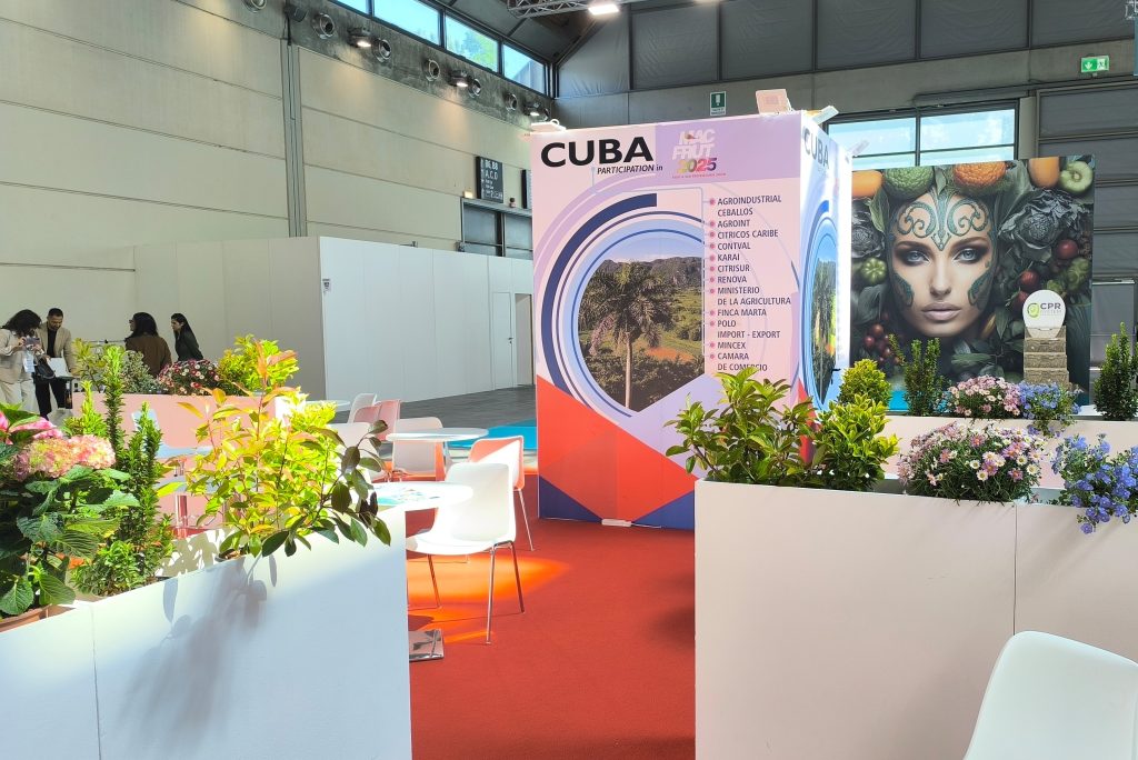 MACFRUT 2025, un espacio de alianzas para profesionales del sector hortofrutícola de Cuba y el mundo 1 MACFRUT 2025