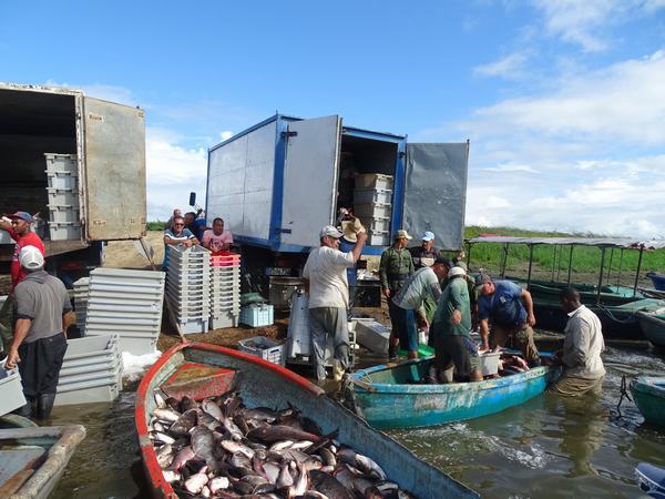 News 2 71108780 1127454327442794 2270737110472327168 o