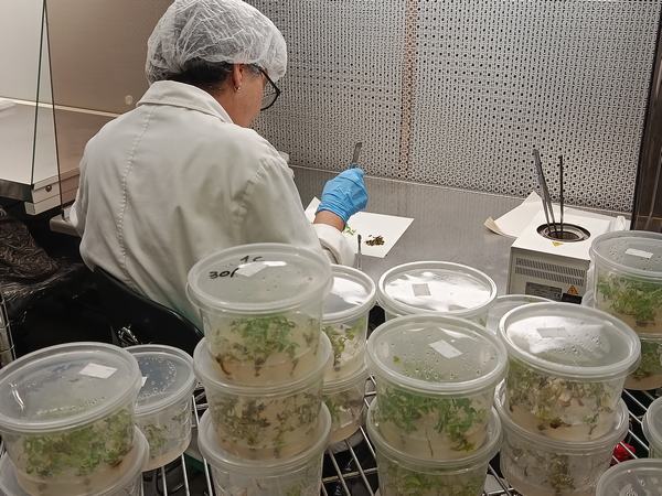 Il progetto Hab.AMA promuove lo scambio in Italia sui sistemi di irrigazione intelligenti con l'iniziativa Acqua Campus Cuba 6 IMG 20250925 082614 1