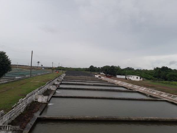 News 6 Inpianti allevamento La Sierpe