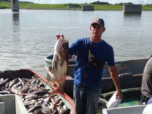 News 9 Pesca de tinca