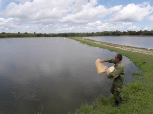 News 7 nutrizione claria