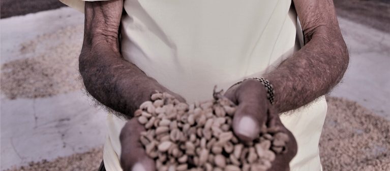 Campagne di Comunicazione