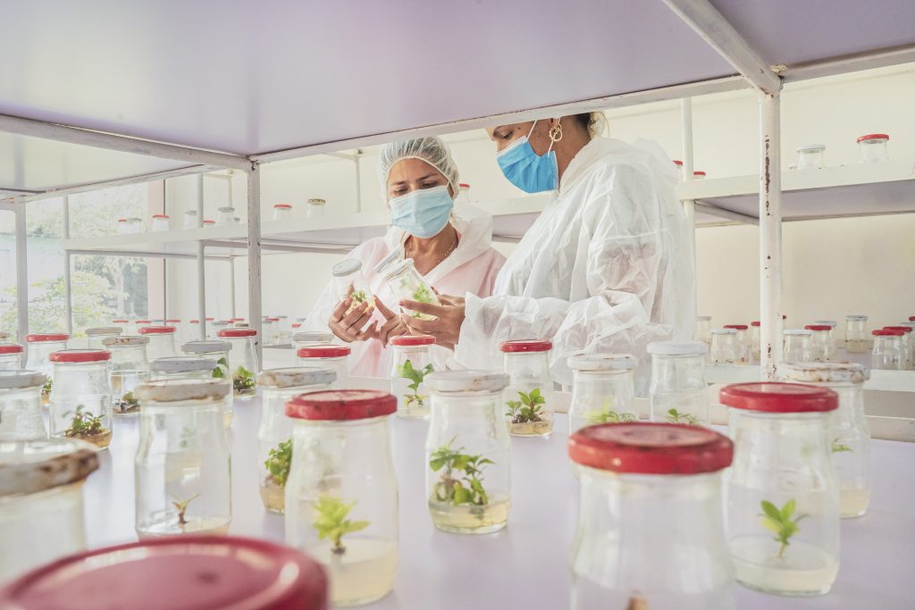 aics mision oriente alta54 1