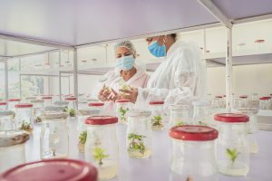 aics mision oriente alta54