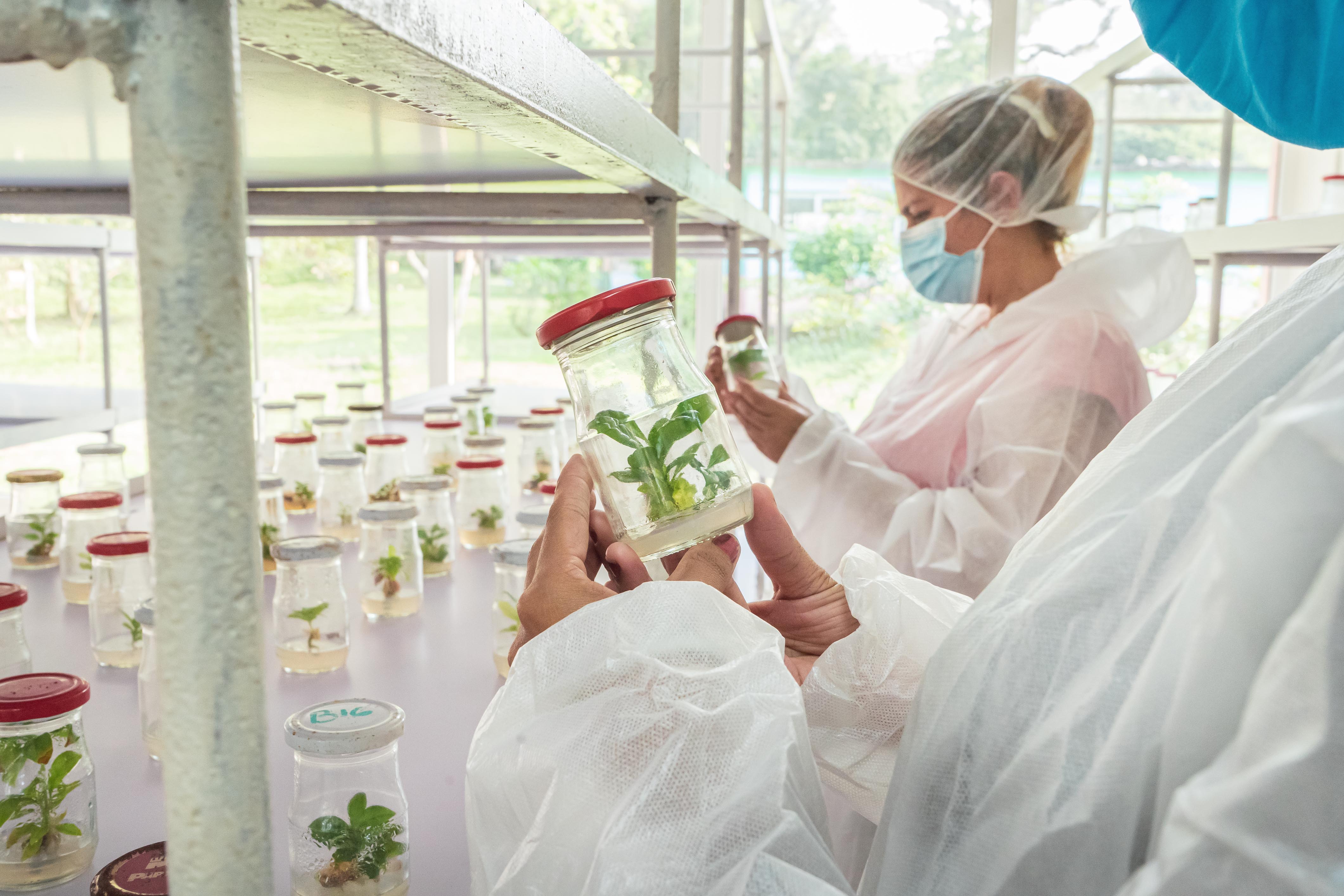 Agricoltura sostenibile, gestione delle risorse e sistemi agroalimentari