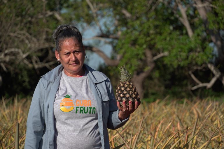 La storia della piattaforma Cultivar ConCiencia e l’impegno di AICS per partenariati strategici nel campo della sostenibilità