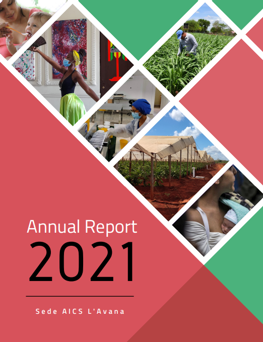 Annual Report 2021