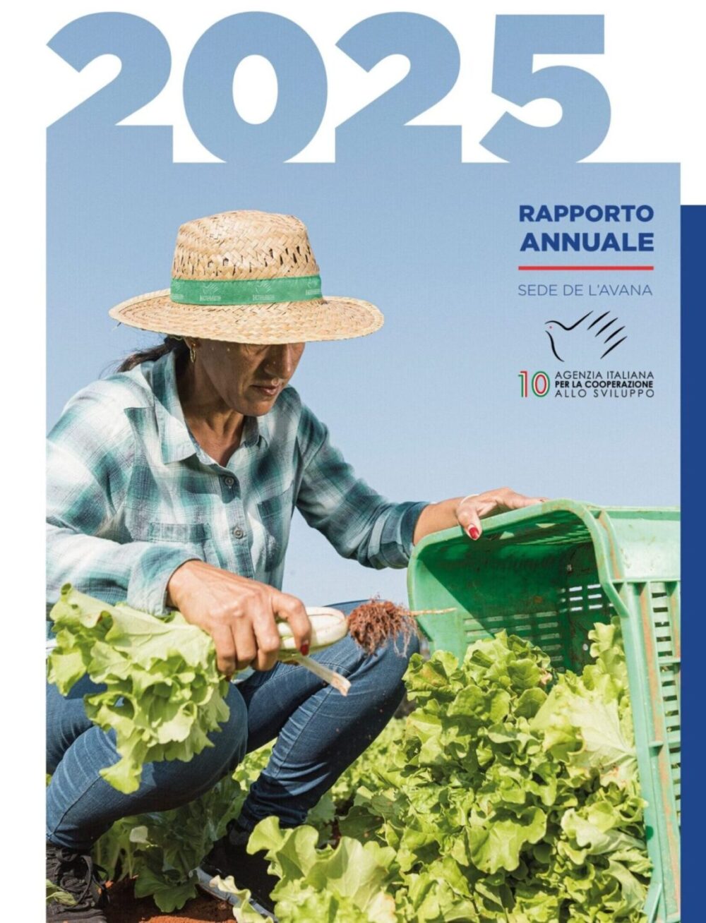 Annual Report 2025