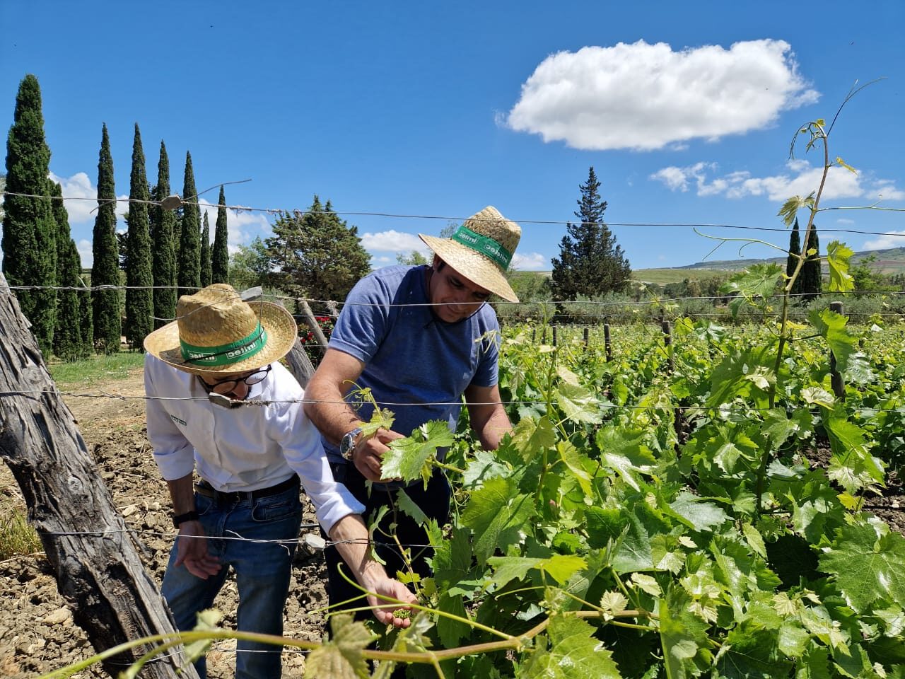 “ACQUA CAMPUS CUBA”: concluso lo scambio tecnico-formativo tra esperti cubani e imprese italiane per l’agricoltura sostenibile e il risparmio idrico