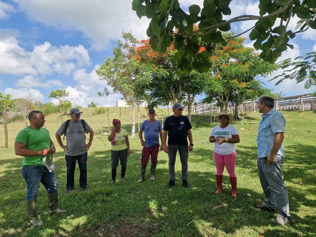 PROYECTO AGROBÚFALO