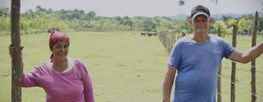 AgroBúfalo: la historia de Yuliet nos habla de sostenibilidad, tecnología y el regreso a las raíces en la ganadería en Guanabacoa